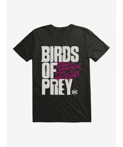 DC Comics Birds Of Prey Movie Title T-Shirt $5.93 T-Shirts