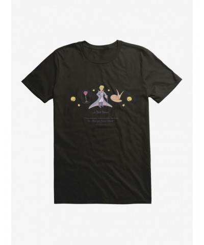 The Little Prince What You Have Tamed T-Shirt $6.88 T-Shirts